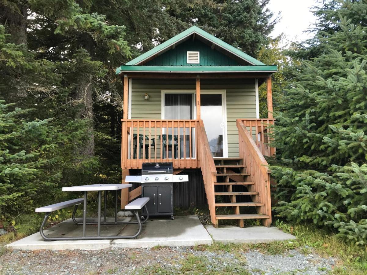 Cabin 3 Lynn View Lodge Haines Kültér fotó