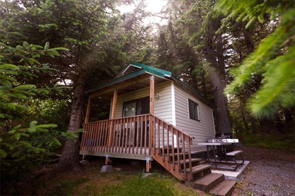Cabin 3 Lynn View Lodge Haines Kültér fotó
